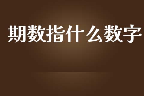 期数指什么数字_https://www.gongyisiwang.com_恒指期货_第1张