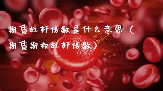 期货杠杆倍数是什么意思（期货期权杠杆倍数）_https://www.gongyisiwang.com_广发期货手续费_第1张