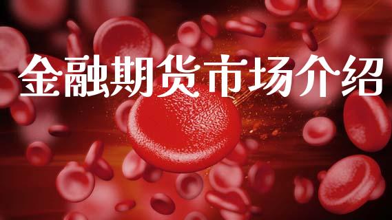 金融期货市场介绍_https://www.gongyisiwang.com_股指期货_第1张