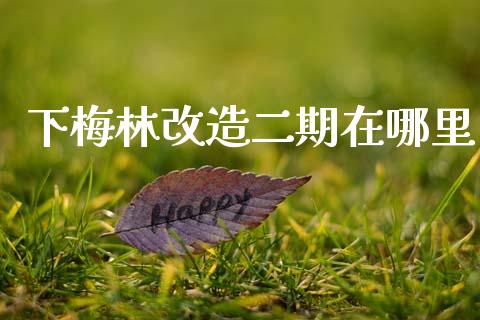 下梅林改造二期在哪里_https://www.gongyisiwang.com_股指期货交易手续费_第1张