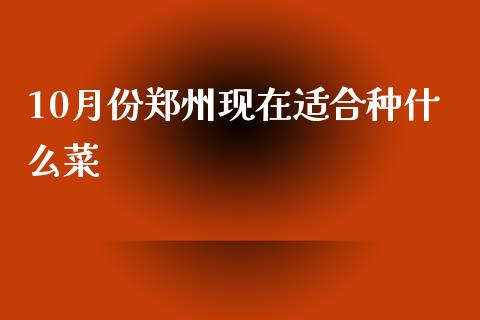 10月份郑州现在适合种什么菜_https://www.gongyisiwang.com_原油期货_第1张