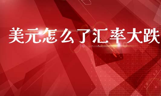 美元怎么了汇率大跌_https://www.gongyisiwang.com_焦炭期货手续费_第1张