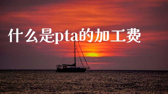 什么是pta的加工费_https://www.gongyisiwang.com_广发期货手续费_第1张