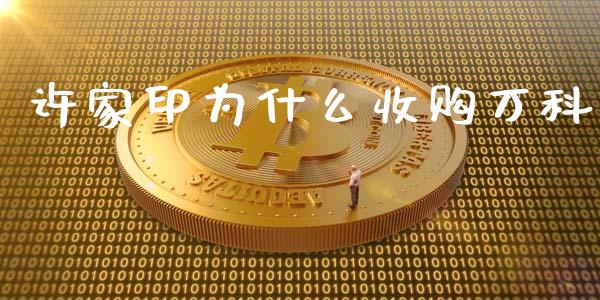 许家印为什么收购万科_https://www.gongyisiwang.com_恒指期货_第1张
