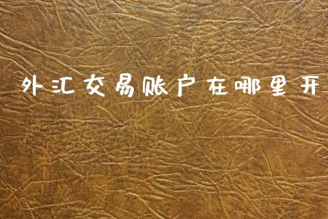 外汇交易账户在哪里开_https://www.gongyisiwang.com_道指_第1张
