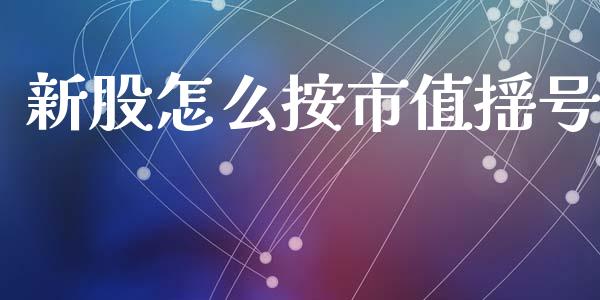 新股怎么按市值摇号_https://www.gongyisiwang.com_广发期货手续费_第1张
