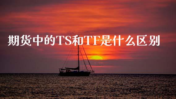 期货中的TS和TF是什么区别_https://www.gongyisiwang.com_股指期货_第1张