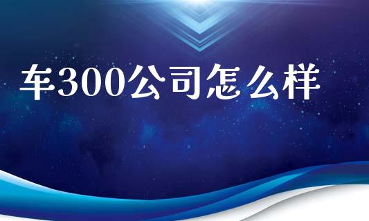 车300公司怎么样_https://www.gongyisiwang.com_股指期货交易手续费_第1张