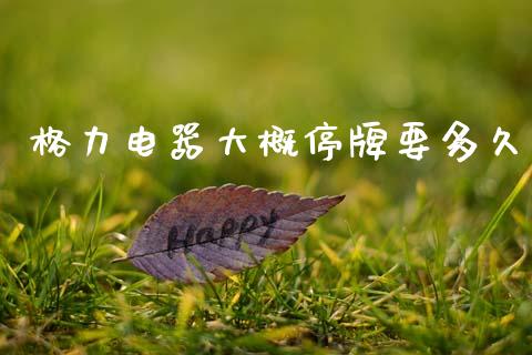 格力电器大概停牌要多久_https://www.gongyisiwang.com_恒指期货_第1张