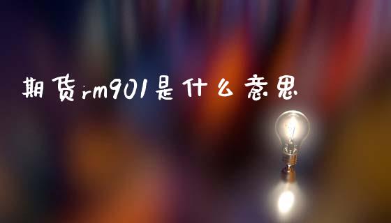 期货rm901是什么意思_https://www.gongyisiwang.com_广发期货手续费_第1张