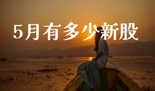 5月有多少新股_https://www.gongyisiwang.com_期货公司手续费排名_第1张