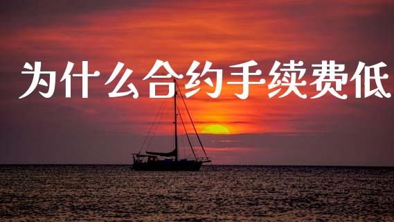 为什么合约手续费低_https://www.gongyisiwang.com_股指期货_第1张