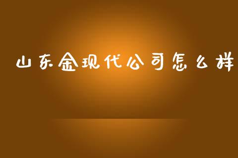 山东金现代公司怎么样_https://www.gongyisiwang.com_恒指期货_第1张