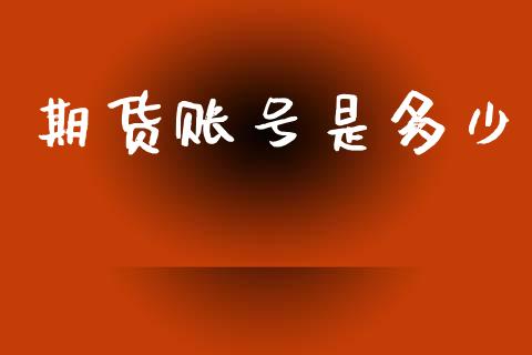 期货账号是多少_https://www.gongyisiwang.com_股指期货交易手续费_第1张