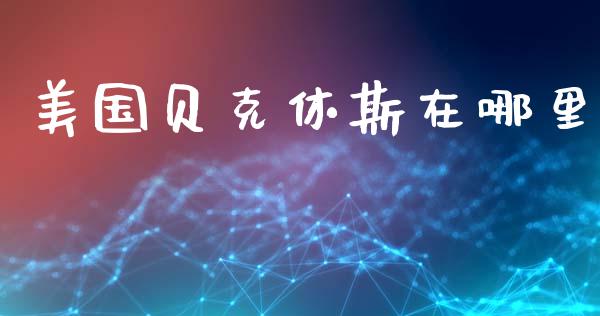 美国贝克休斯在哪里_https://www.gongyisiwang.com_股指期货交易手续费_第1张