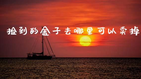 捡到的金子去哪里可以卖掉_https://www.gongyisiwang.com_期货公司手续费排名_第1张