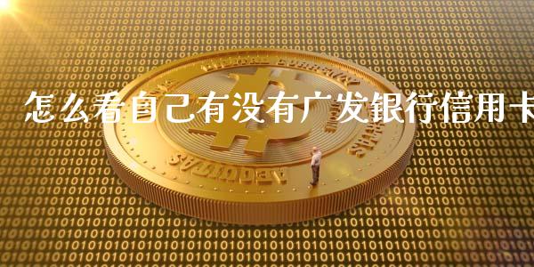 怎么看自己有没有广发银行信用卡_https://www.gongyisiwang.com_股指期货_第1张