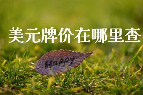 美元牌价在哪里查_https://www.gongyisiwang.com_原油期货_第1张