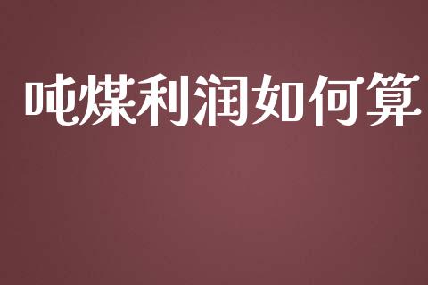 吨煤利润如何算_https://www.gongyisiwang.com_焦炭期货手续费_第1张