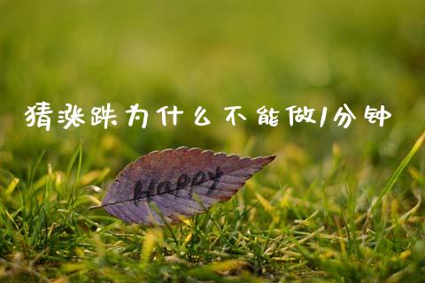 猜涨跌为什么不能做1分钟_https://www.gongyisiwang.com_恒指期货_第1张