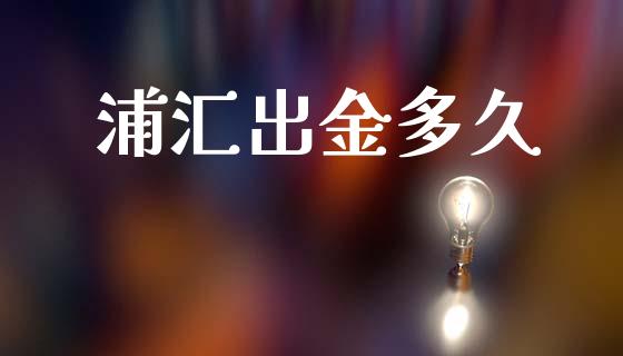 浦汇出金多久_https://www.gongyisiwang.com_股指期货_第1张