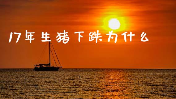 17年生猪下跌为什么_https://www.gongyisiwang.com_恒指期货_第1张