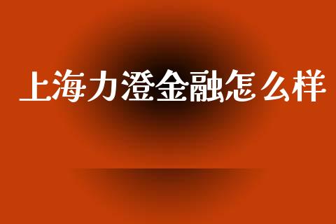 上海力澄金融怎么样_https://www.gongyisiwang.com_恒指期货_第1张