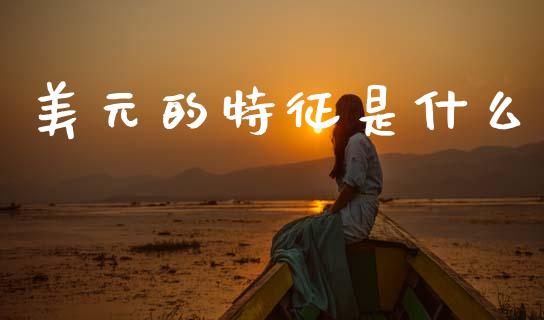 美元的特征是什么_https://www.gongyisiwang.com_焦炭期货手续费_第1张