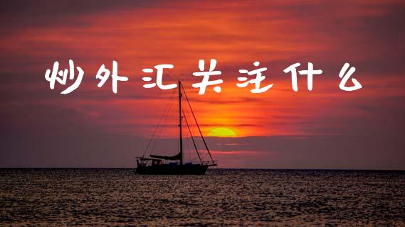 炒外汇关注什么_https://www.gongyisiwang.com_股指期货_第1张