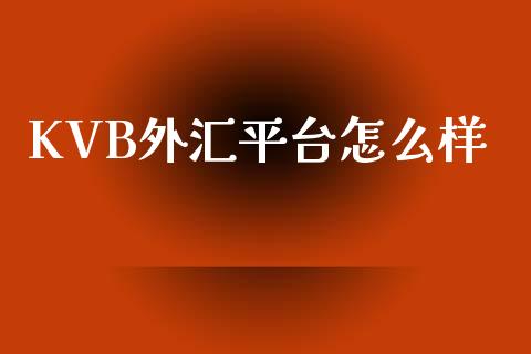 KVB外汇平台怎么样_https://www.gongyisiwang.com_股指期货交易手续费_第1张
