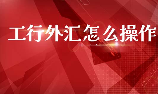 工行外汇怎么操作_https://www.gongyisiwang.com_焦炭期货手续费_第1张