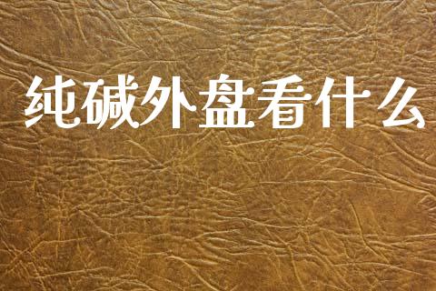 纯碱外盘看什么_https://www.gongyisiwang.com_股指期货交易手续费_第1张