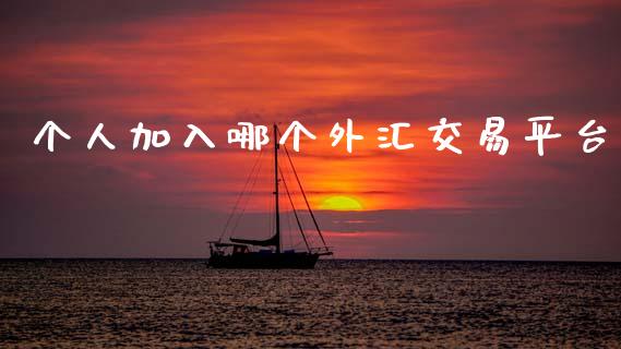 个人加入哪个外汇交易平台_https://www.gongyisiwang.com_焦炭期货手续费_第1张