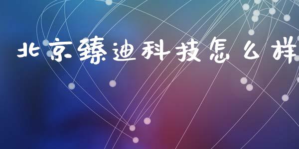 北京臻迪科技怎么样_https://www.gongyisiwang.com_焦炭期货手续费_第1张