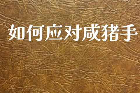 如何应对咸猪手_https://www.gongyisiwang.com_股指期货交易手续费_第1张