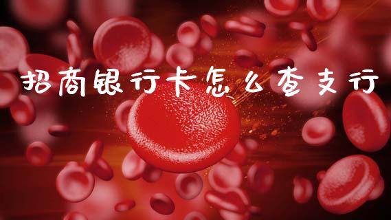 招商银行卡怎么查支行_https://www.gongyisiwang.com_道指_第1张