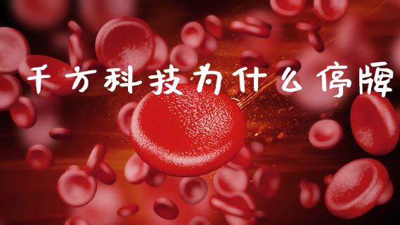 千方科技为什么停牌_https://www.gongyisiwang.com_焦炭期货手续费_第1张