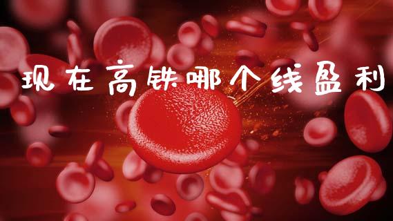现在高铁哪个线盈利_https://www.gongyisiwang.com_道指_第1张
