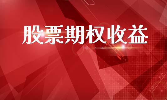股票期权收益_https://www.gongyisiwang.com_股指期货交易手续费_第1张