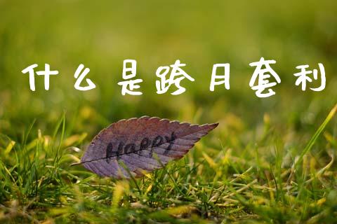 什么是跨月套利_https://www.gongyisiwang.com_广发期货手续费_第1张