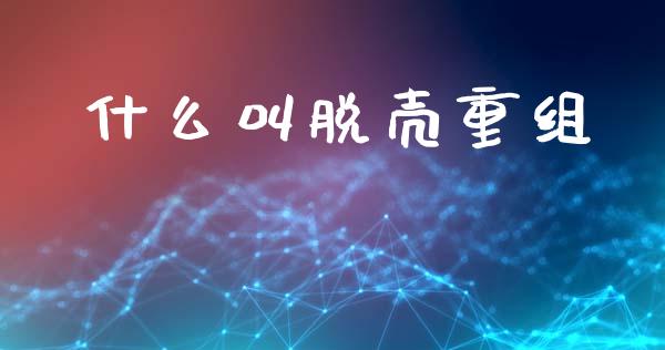 什么叫脱壳重组_https://www.gongyisiwang.com_广发期货手续费_第1张