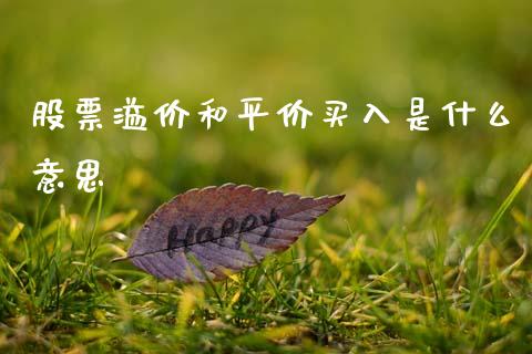 股票溢价和平价买入是什么意思_https://www.gongyisiwang.com_股指期货_第1张