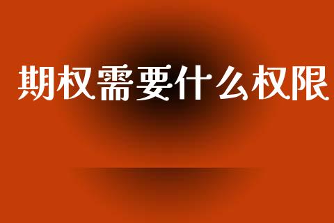 期权需要什么权限_https://www.gongyisiwang.com_原油期货_第1张