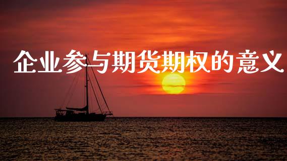 企业参与期货期权的意义_https://www.gongyisiwang.com_股指期货_第1张