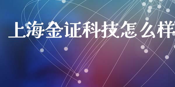 上海金证科技怎么样_https://www.gongyisiwang.com_股指期货交易手续费_第1张