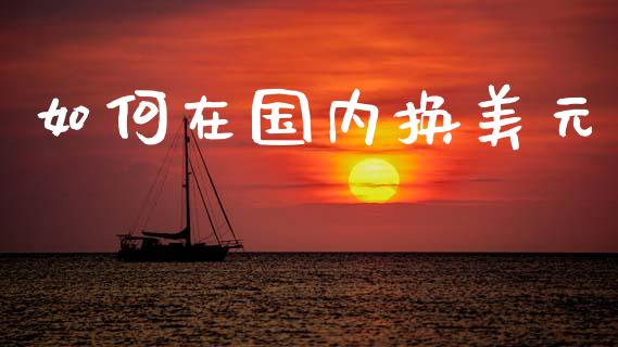 如何在国内换美元_https://www.gongyisiwang.com_期货公司手续费排名_第1张