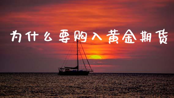 为什么要购入黄金期货_https://www.gongyisiwang.com_股指期货_第1张