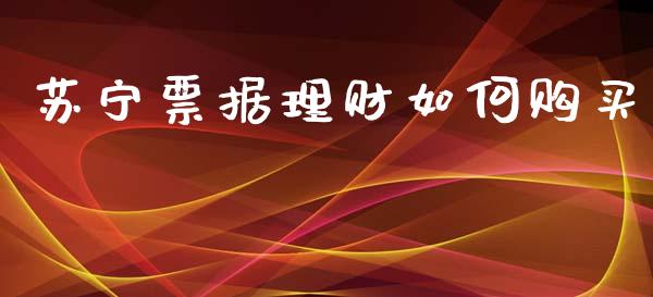 苏宁票据理财如何购买_https://www.gongyisiwang.com_道指_第1张