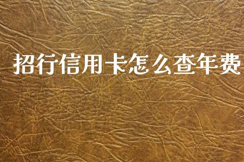 招行信用卡怎么查年费_https://www.gongyisiwang.com_道指_第1张