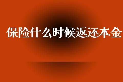 保险什么时候返还本金_https://www.gongyisiwang.com_道指_第1张